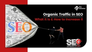 Organic Traffic in SEO: What It Is & How to Increase It