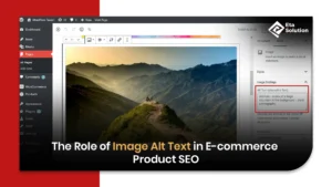 The Role of Image Alt Text in E-commerce Product SEO