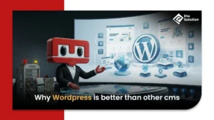 Why wordpress is better than other cms​